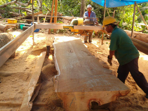 Haz clic para agrandar Aserradero Lucas Mill - 2