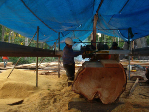 Haz clic para agrandar Aserradero Lucas Mill - 3