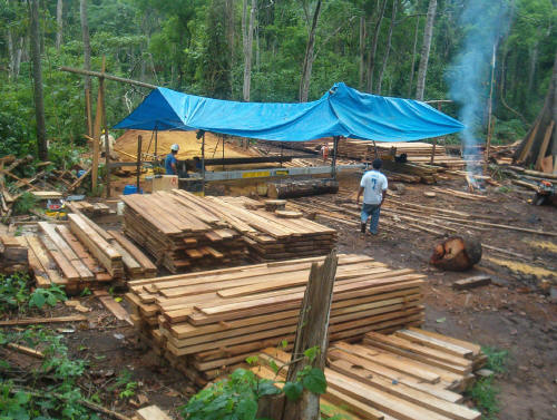 Haz clic para agrandar Aserradero Lucas Mill - 7